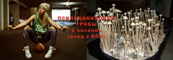 spice Алексеевка