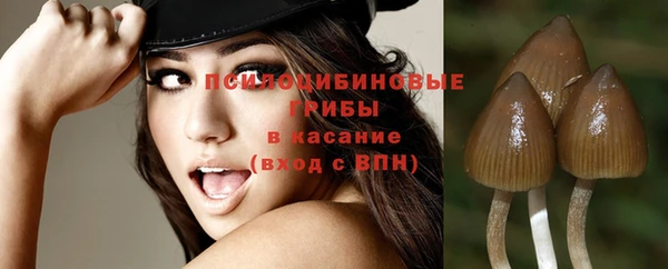 spice Алексеевка