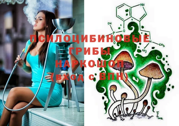 мяу мяу мука Алексин